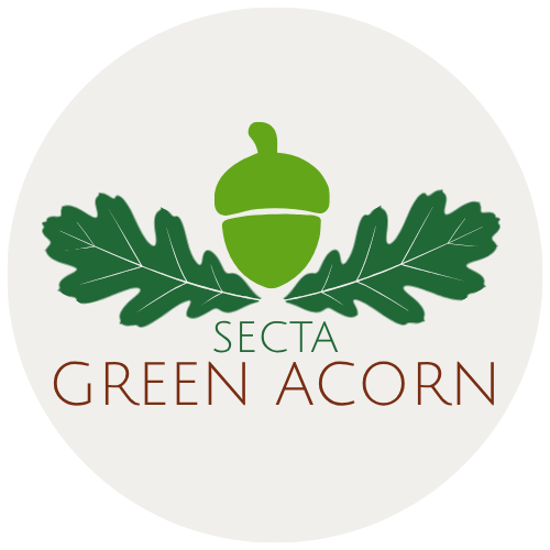 Green Acorn